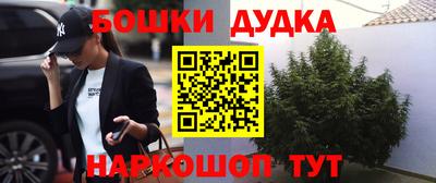 индика Чебаркуль