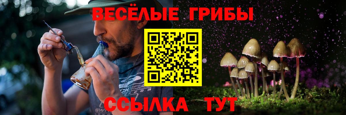 Галлюциногенные грибы GOLDEN TEACHER  Вход с VPN  Междуреченск 